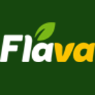 Flava Logo