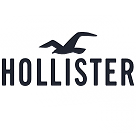 Hollister Logo